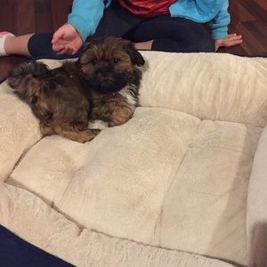 Meet your Posher, Kiley